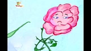 babytv Rose and carnation (From chomikuj)