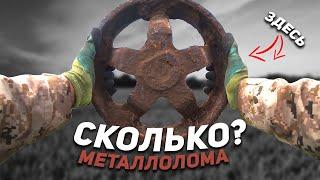 Сколько металла можно накопать на краю села? Металлокоп с MT 705