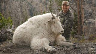 ONCE IN A LIFETIME Idaho Mountain Goat