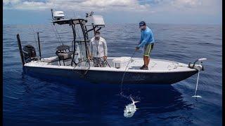 PERMIT ON THE THUNDERBOLT WRECK - Saltwater Experience