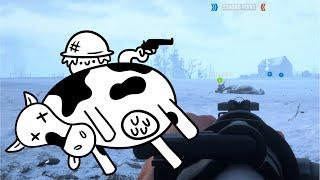 Using Cows For Combat