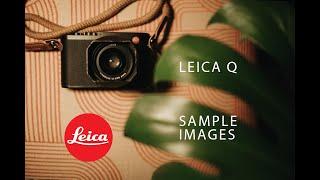 Leica Q in 2022 - Modeling Photo Shoot in Nashville - Sample Images