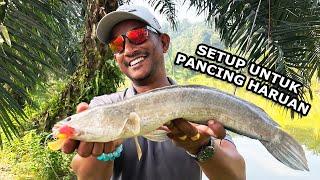 TANYA PAK ROOB | Setup untuk pancing HARUAN