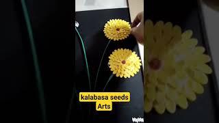 easy home decoration using squash seeds   flower art..#art #diy #flowers #short