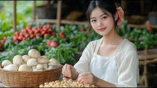 Pick Mushrooms with Lam Anh and Make Extremely Nutritious Mushroom Dishes | Nguyễn Lâm Anh