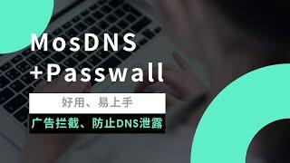 2024年最新mosdns对接 passwall等科学上网插件教程，实现广告拦截、DNS分流功能、阻止DNS劫持、泄露等问题，优化网页打开速度、优化视频缓冲时间#一瓶奶油