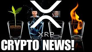 APPEAL! Ripple XRP  Two Times XRP Price Pumped  CRYPTO NEWS