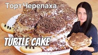 How to make Turtle sponge cake  English subtitles