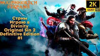 СТРИМ: ИГРАЮ В DIVINITY ORIGINAL SIN 2 DEFINITIVE EDITION С РУССКОЙ ОЗВУЧКОЙ #1 RESHADE!