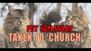 Meeting 'Church' the cat from Pet Sematary