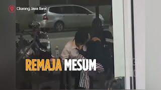 Remaja mesum cipokan