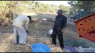 Guru Hindustan side basket multicrop thresher working in jawari jawar