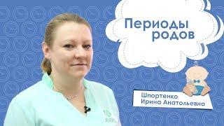 Периоды Родов - Шпортенко Ирина Анатольевна