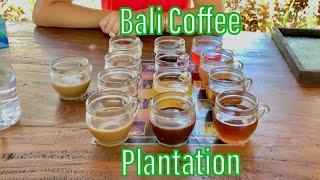 Bali Coffee Plantation | Luwak Coffee | Ubud | BeckyWanders