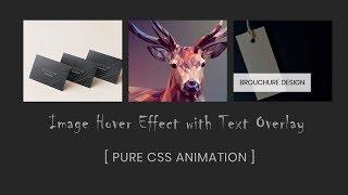 Image hover effect with text overlay | CSS Image Hover Effects
