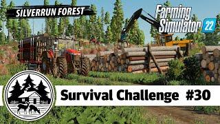 MADE A MILLION BUCKS FROM WOOD! - Platinum Edition - Farming Simulator 22 -  Survival Challenge