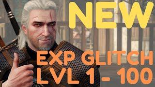 THE WITCHER 3 GLITCH XP 2022 ( COMPLETE LOW LVL - HIGH LVL )