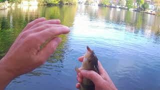 pêche en float tube à Nemours