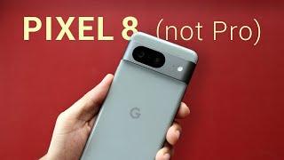 Pixel 8 (not Pro) After 2 Days: Thermals, Battery Life and More!