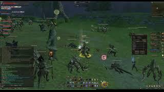 Lineage 2 Essence - Blue server (Reflect OP)