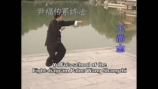 Chinese Wushu Association: Baguazhang Part 1