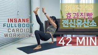 체중감량 효과직빵 전신 유산소운동, 칼로리 소모 끝판왕 / Insane Fullbody HIIT Cardio Workout (No equip)