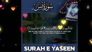 Surah YASIN | Surah Yaseen - Soothing and Relaxing Quran Recitation سورة يس with English translation