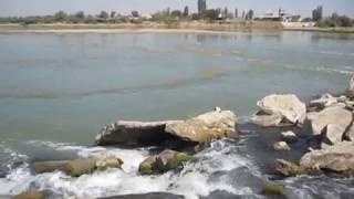 Шоликорская дамба на реке Сырдарья в сентябре. Узбекистан