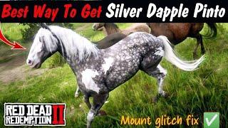 Best and Easiest way to acquire Silver Dapple Pinto Missouri Fox Trotter