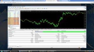 How To Back Manually and Back Testing With MT4