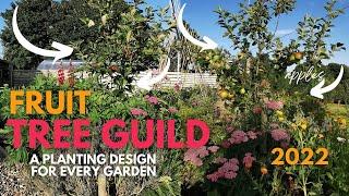 Fruit Tree Guild overview - what to consider before choosing your plants