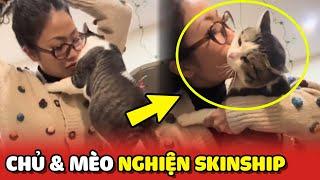 Khi Chủ và Mèo nghiện Skinship sống chung dưới 1 mái nhà 