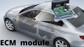 What Does an Engine Control Module ECM Do?