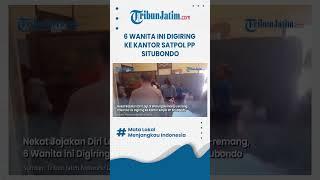 #shorts  NEKAT JAJAKAN DIRI DIGIRING SATPOL PP, 6 Wanita ini Nekat Kembali di Warung Remang remang