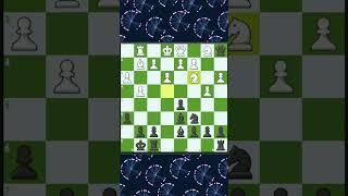 Short chess game with brilliant moves