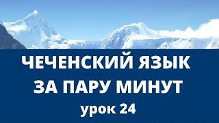 Онлайн изучение чеченского языка за пару минут. Вайнахский язык. Урок 24.