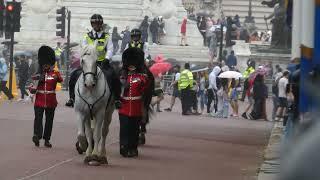 1st Battalion Welsh Guards