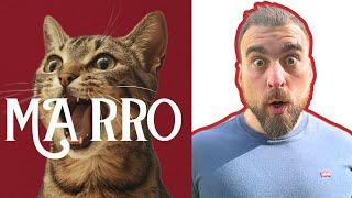 MARRO Cat Food Review - The Truth Revealed