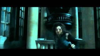 Harry Potter and the Deathly Hallows part 1 - Bellatrix's reign of terror at Malfoy Manor (part 1)