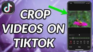 How To Crop A Video On TikTok