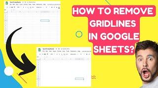 How to Remove Gridlines in Google Sheet?