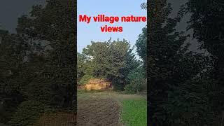 100% Pollution free nature views my village Area #shortvideo #shorts #mk india tech 99️️️