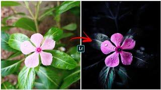 Lightroom Flowers Editing in Mobile || Moody Flowers Editing || Lightroom tutorial || Lr editing