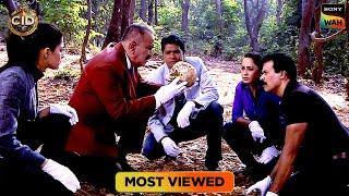 Mosquito का रहस्य पता लगाते वक़्त CID को मिला एक Skeleton Head | CID | सी.आई.डी. | Most Viewed