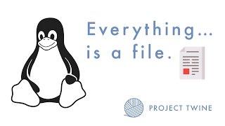 "Everything is a file" in UNIX