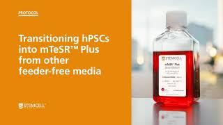 How to Transition Human Pluripotent Stem Cells into mTeSR™ Plus from Other Feeder-Free Media