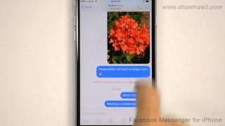 Facebook Messenger For iPhone - How To Mute Notifications For A Conversation