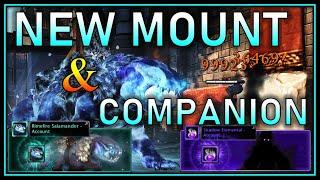 Testing NEW Mount & Companion | Worth to Get them? Stealth Lockbox - Neverwinter Mod 21