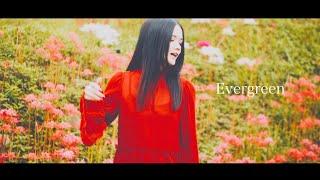 sajou no hana 『Evergreen』（Music Video）