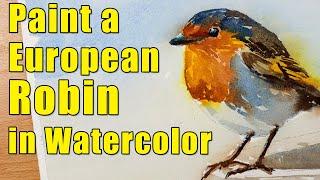 Painting a Robin in Watercolor |  Paint along | * A European Robin * #watercolor  #robin